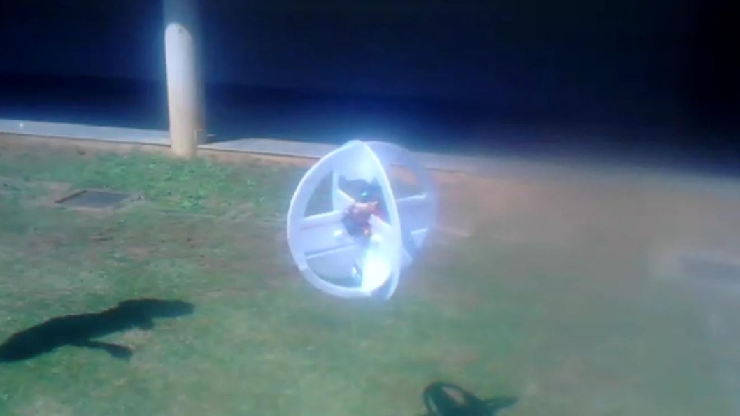 The Monocopter